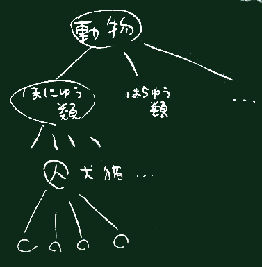 動物の階層