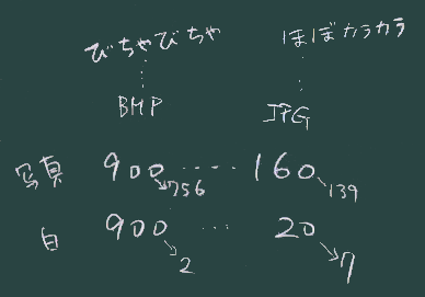 サイズ比較