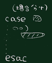 case文