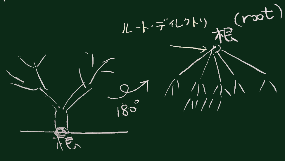 木のイメージ