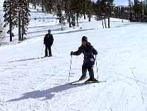 Skiing Ginga